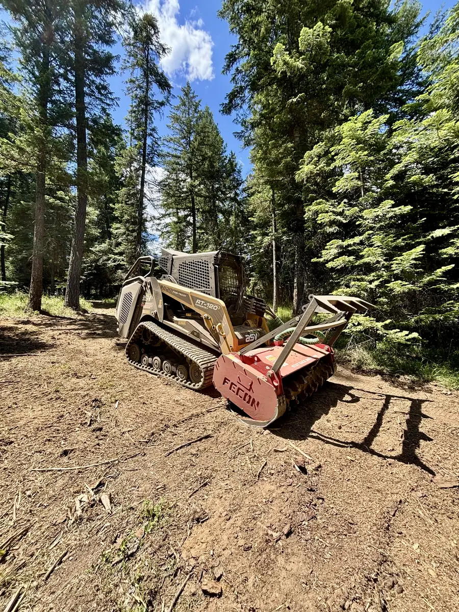 Access Tech ASV RT-120 with Fecon forestry mulcher head in a thinned, healthy stand