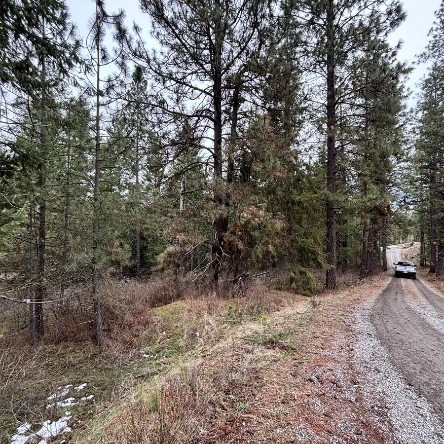 Before: overgrown roadside stand with heavy understory fuels